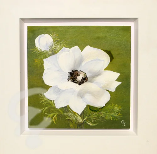 Anemone weiß