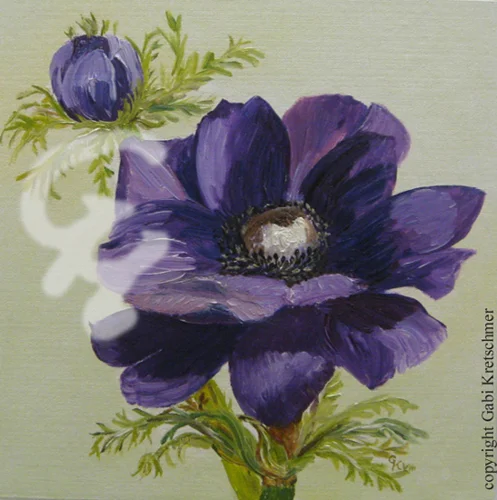 ANEMONE LILA