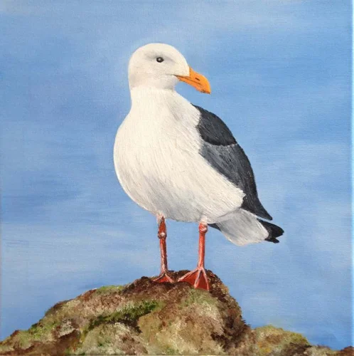 Die Möwe