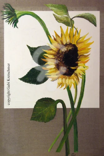 Gesicht der Natur