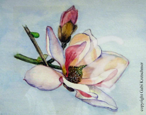 Magnolie