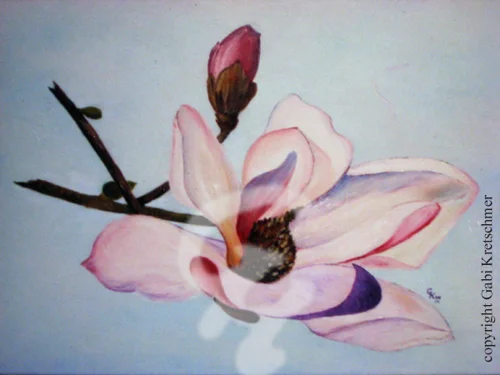 Magnolienblütenzweig