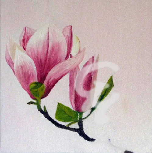Magnolienzweig
