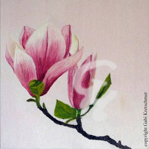 Magnolienzweig