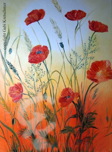 Mohn im Sonnenlicht