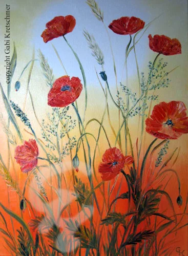 Mohn im Sonnenlicht