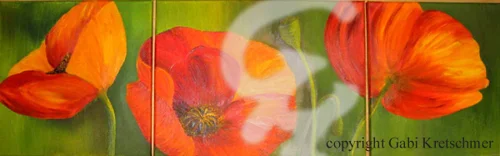Mohnblumen 3 teilig