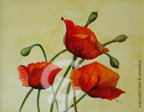 Mohnblumen