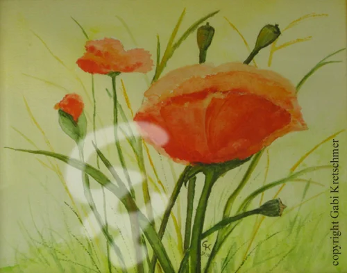 Mohnblumenwiese