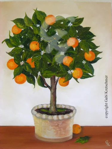 Orangenbäumchen
