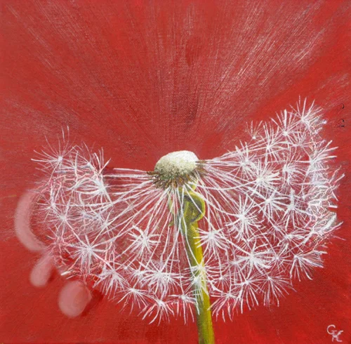 Pusteblume rot 3