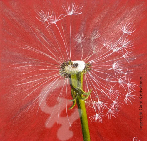Pusteblume rot