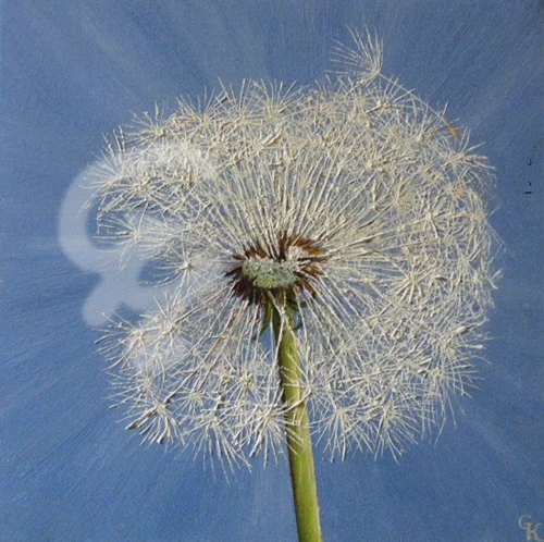 Pusteblume hellblau