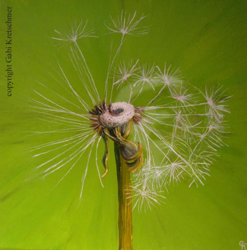 Pusteblume hellblau