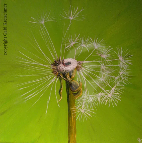 Pusteblume hellgrün