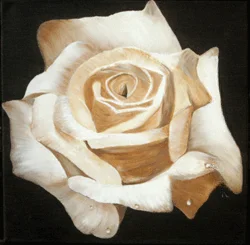 Rose hellbraun