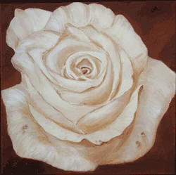 Rose beige