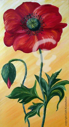 Roter Mohn