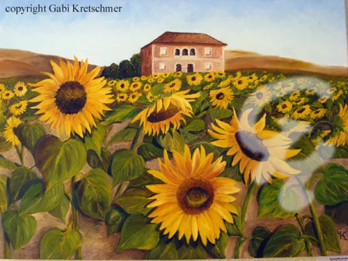 Sonnenblumenfeld