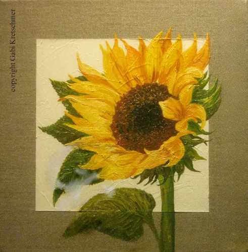 Sonnenlicht