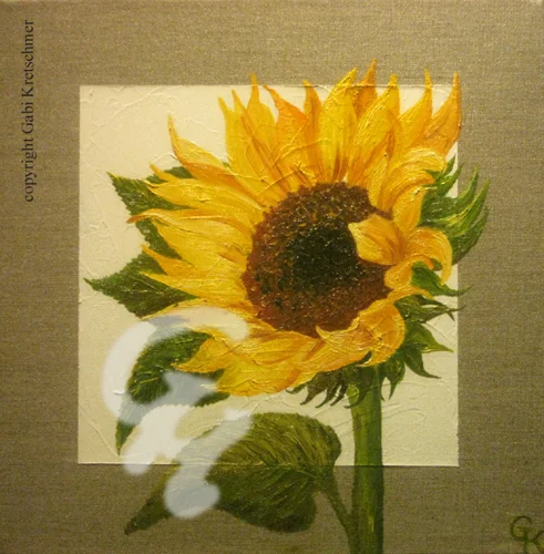 Sonnenlicht