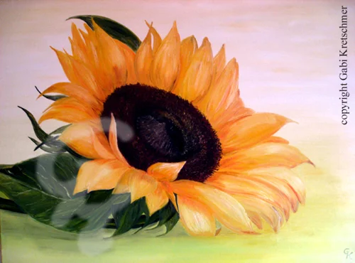 Sonnenschein