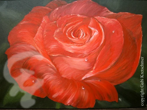 Teufelsrose