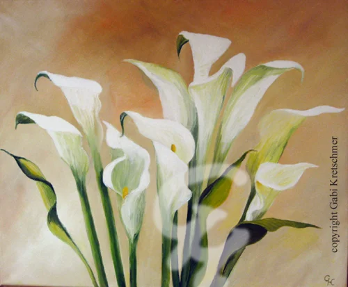 White Callas