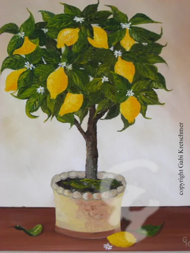 Zitronenbäumchen